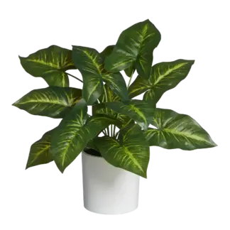 Künstliche Dieffenbachia - Justus | 45 cm*