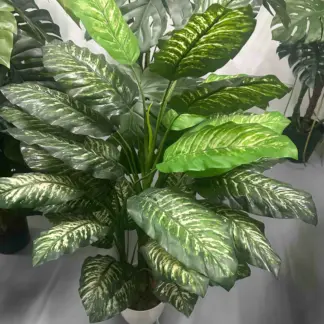 Künstliche Dieffenbachia – Mirella | 90 cm*