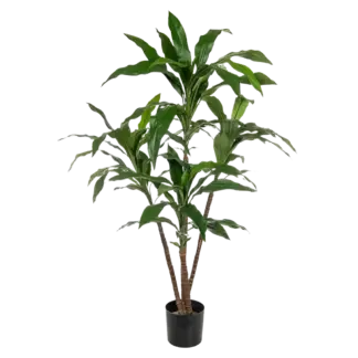 Künstliche Dracaena - Michel | 60 cm*