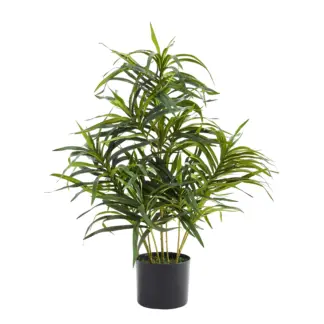 Künstliche Dracaena Reflexa – Orielle | 70 cm*