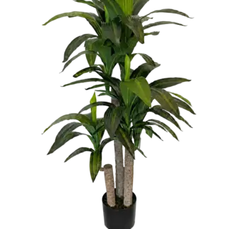 Künstliche Dracaena – Maevor | 120 cm*