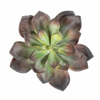 Künstliche Echeveria - Helena | 15 cm*