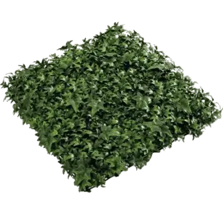 Künstliche Efeu Matte - Peer | 50x50 cm*