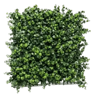Künstliche Eucalyptus Matte - Nils | 50x50 cm*