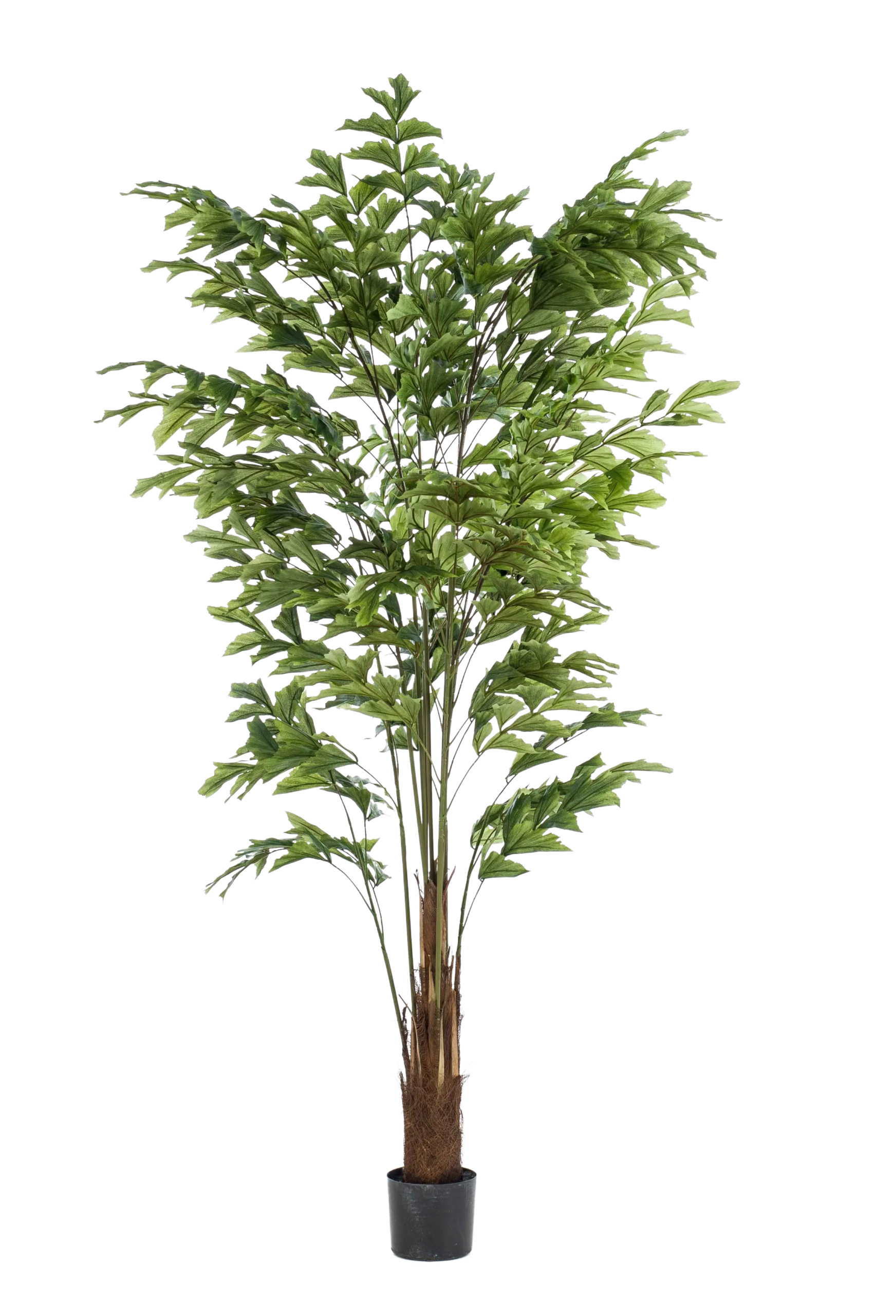 Künstliche Fischschwanzpalme - Nayla | 210 cm*