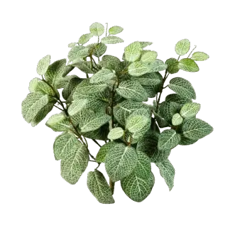 Künstliche Fittonia - Fit*