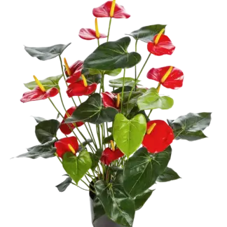 Künstliche Flamingoblume - Caspar | 78 cm*