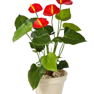 Künstliche Flamingoblume - Steckpflanze - Nara | 56 cm*