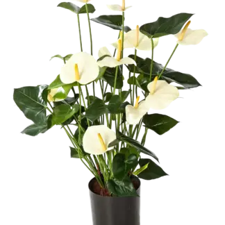 Künstliche Flamingoblume - Zenta | 78 cm*