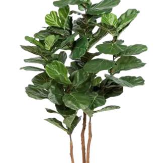 Künstliche Geigenfeige - Gutrun | 190 cm*