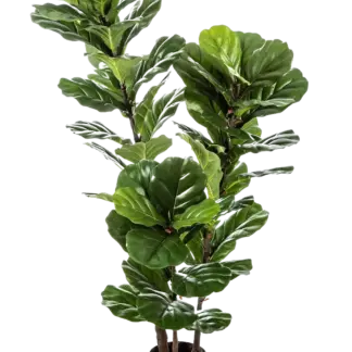 Künstliche Geigenfeige - Lena | 130 cm*