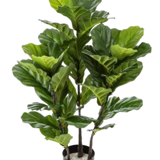 Künstliche Geigenfeige - Lena | 90 cm*