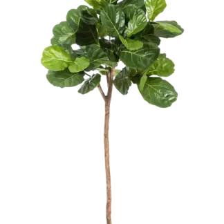 Künstliche Geigenfeige - Leni | 200 cm*