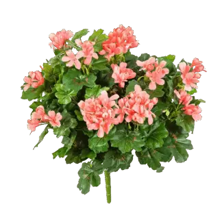 Künstliche Geranie - Adrian | 35 cm*