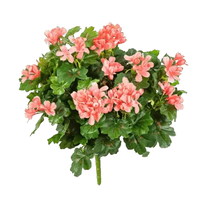 Künstliche Geranie - Adrian | 35 cm*