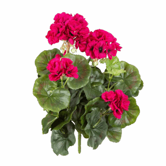 Künstliche Geranie - Alexander | 30 cm*