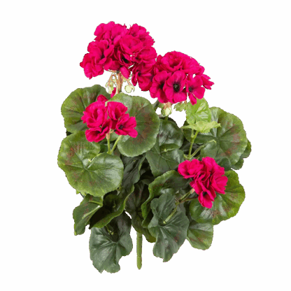 Künstliche Geranie - Alexander | 30 cm*