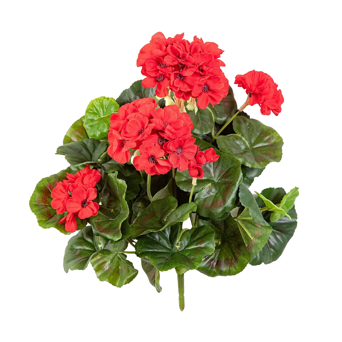 Künstliche Geranie - Annalena | 30 cm*
