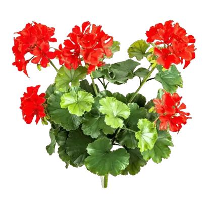 Künstliche Geranie - Zora | 39 cm, Steckpflanze*