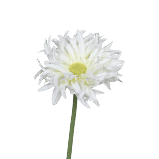 Künstliche Gerbera gefranzt - Eva | 57 cm*