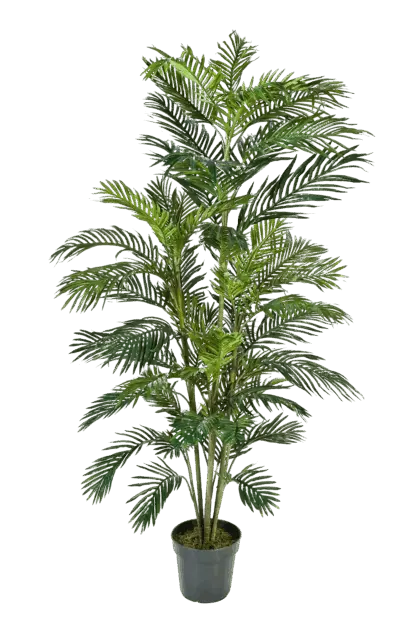 Künstliche Goldfruchtpalme - Connor | 180 cm*
