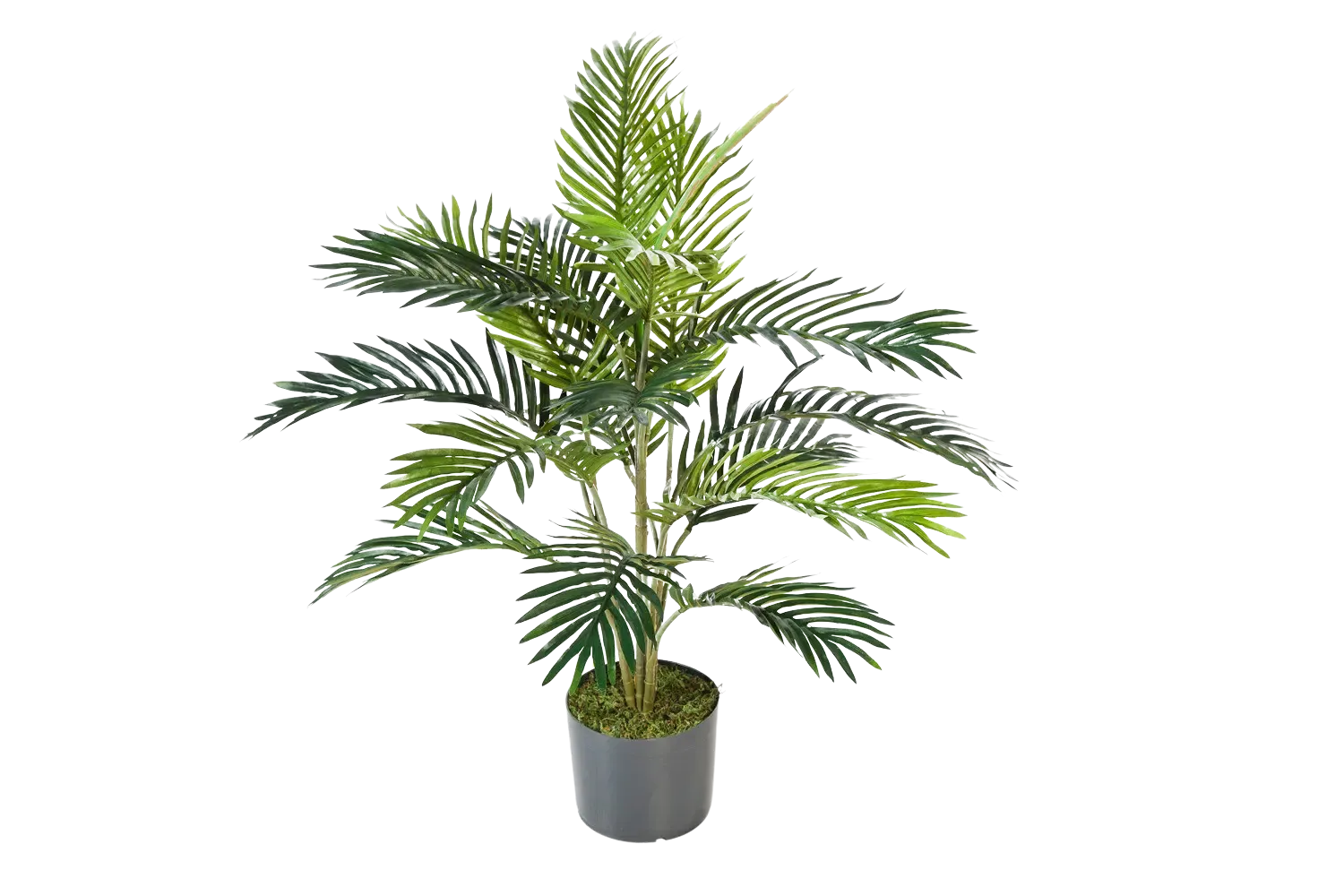 Künstliche Goldfruchtpalme - Connor | 90 cm*