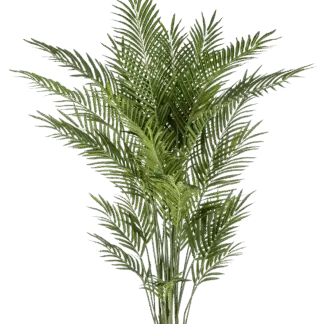 Künstliche Goldfruchtpalme - Eva | 200 cm*