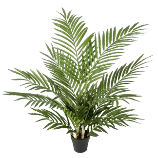 Künstliche Goldfruchtpalme - Eva | 80 cm*