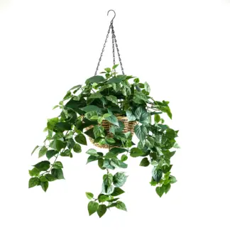 Künstliche Hänge-Efeutute – Theresia | 80 cm*