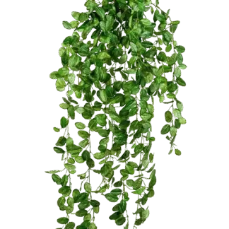 Künstliche Hänge-Fittonia - Freya | 85 cm*