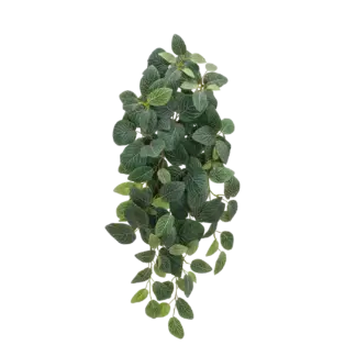 Künstliche Hänge-Fittonia - Tamara | 70 cm*