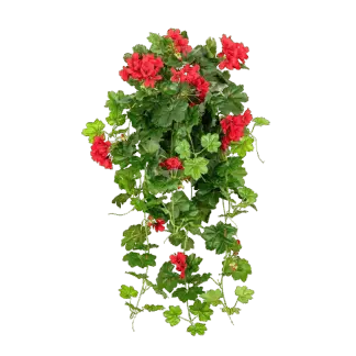 Künstliche Hänge-Geranie - Alessio | 72 cm*