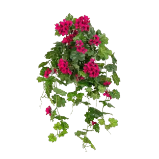 Künstliche Hänge-Geranie - Arne | 72 cm*
