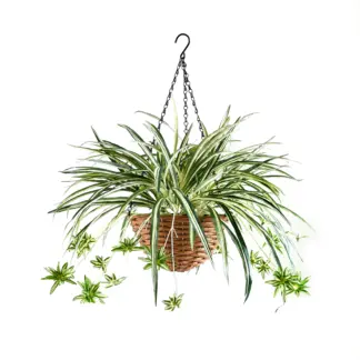 Künstliche Hänge-Grünlilie – Aurelio | 60 cm*