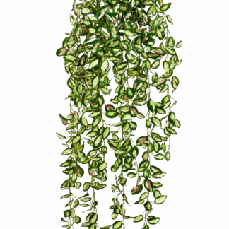 Künstliche Hänge-Hoya - Florentine | 85 cm*
