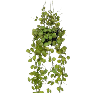 Künstliche Hänge-Leuchterblume - Konrad | 50 cm*