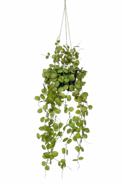 Künstliche Hänge-Leuchterblume - Konrad | 50 cm*
