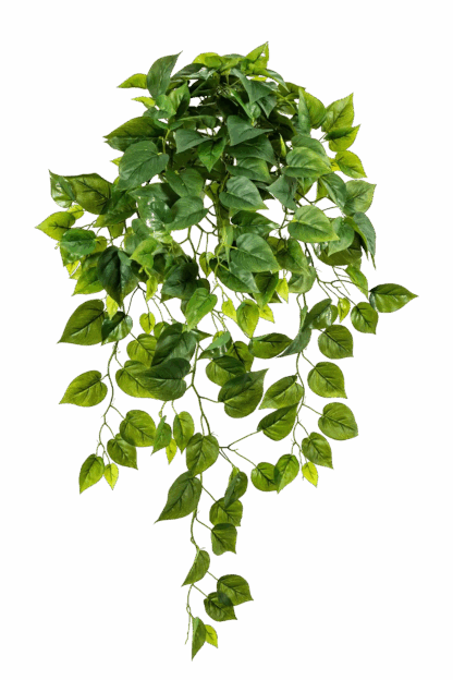 Künstliche Hänge-Monstera - Barbara | 85 cm*