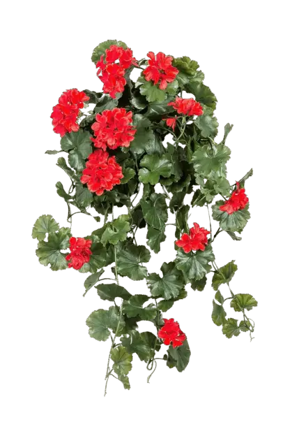 Künstliche Hängegeranie - Draco | 66 cm*