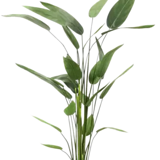 Künstliche Helikonie – Azariel | 160 cm*