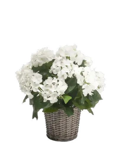 Künstliche Hortensie - Lenny | 45 cm*