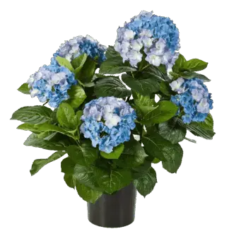 Künstliche Hortensie - Naomi | 53 cm*