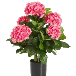 Künstliche Hortensie - Nils | 53 cm*