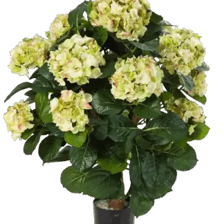 Künstliche Hortensie - Noah | 62 cm*