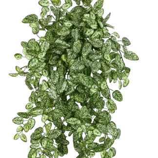 Künstliche Hypoestes - Efe | 50cm*
