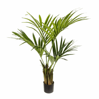 Künstliche Kentia Palme - Cataleya | 110 cm*