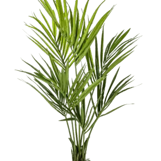Künstliche Kentia Palme - Cataleya | 140 cm*