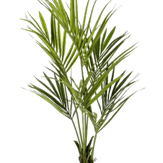 Künstliche Kentia Palme - Cataleya | 200 cm*