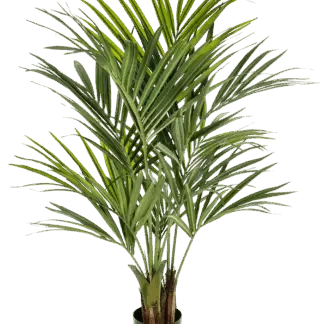 Künstliche Kentia Palme - Cecilia | 140 cm*