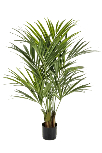 Künstliche Kentia Palme - Cecilia | 140 cm*